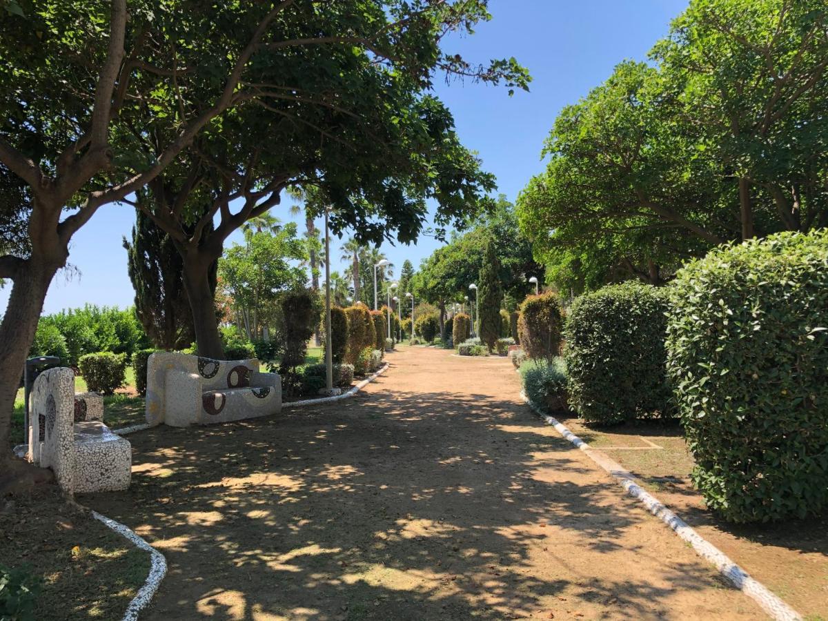 Edessa - Vistamar Lux Sea View Daire Oropesa del Mar Dış mekan fotoğraf